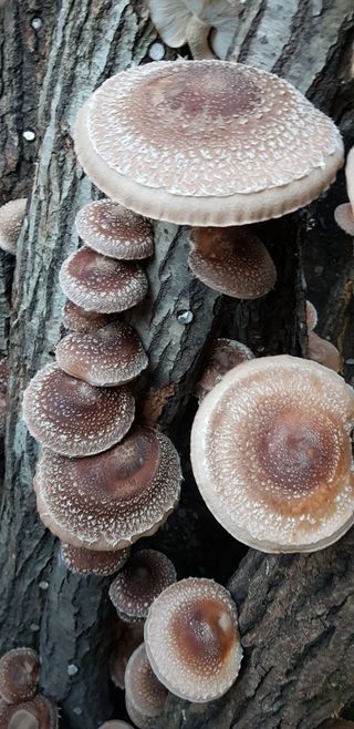 홍성호님의 작성글 사진