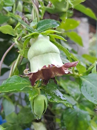 홍성호님의 작성글 사진