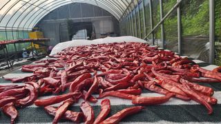 이종열님의 자유주제 · 자유게시판 작성글 사진