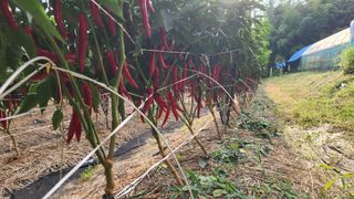 이종열님의 자유주제 · 자유게시판 작성글 사진