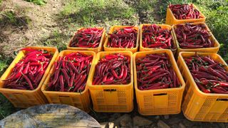 이종열님의 자유주제 · 자유게시판 작성글 사진