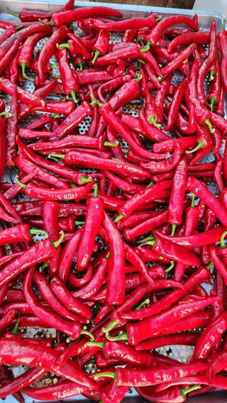 이종열님의 자유주제 · 자유게시판 작성글 사진