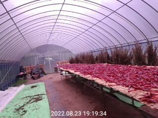 이종열님의 자유주제 · 자유게시판 작성글 사진