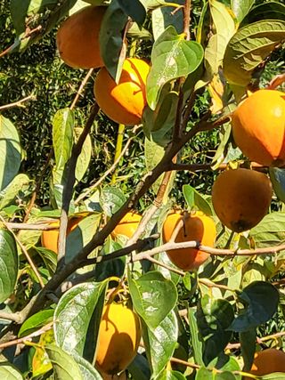 김선희님의 작성글 사진