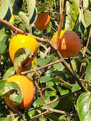 김선희님의 작성글 사진