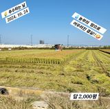 팜모닝 자유주제·자유게시판 게시글 이미지