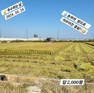 김주용님의 자유주제 · 자유게시판 작성글 사진