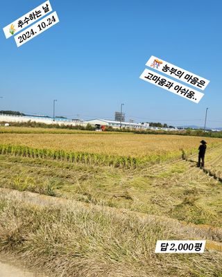 김주용님의 자유주제 · 자유게시판 작성글 사진