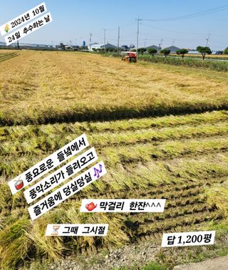 김주용님의 자유주제 · 자유게시판 작성글 사진