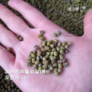 민들레님의 작성글 사진