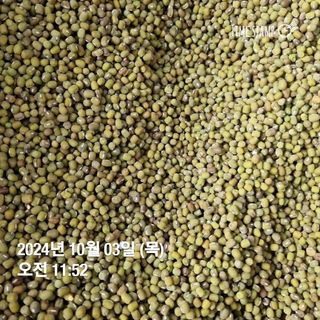 민들레님의 작성글 사진