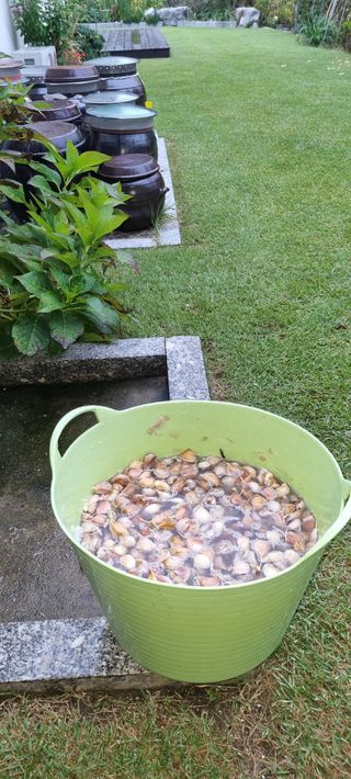 이상권님의 마늘 · 영농일지 작성글 사진