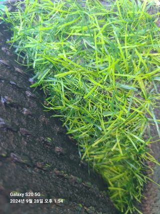 다이쏘(권자영)님의 작성글 사진