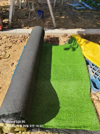 다이쏘(권자영)님의 작성글 사진