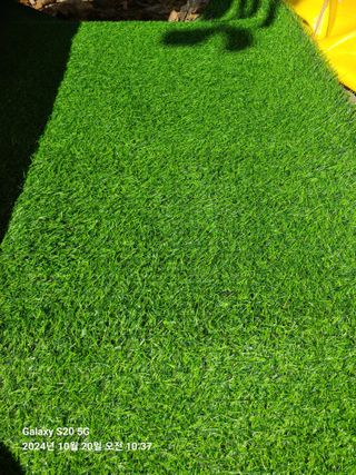 다이쏘(권자영)님의 작성글 사진