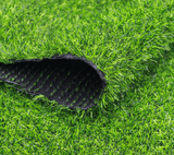 팜모닝 · 게시글 이미지