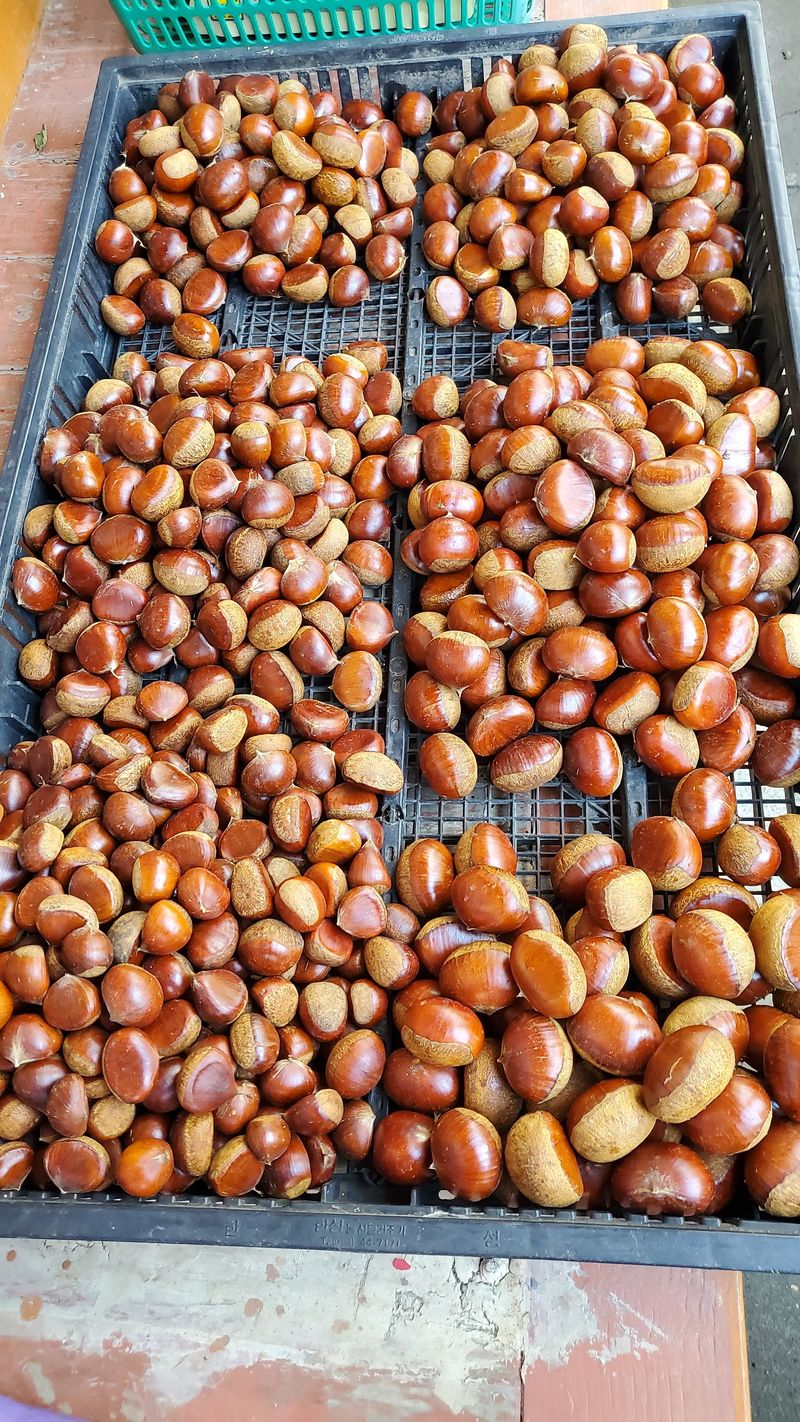 장터 상품 [산속 알밤 5 ķg] 썸네일