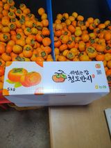 팜모닝 자유주제·자유게시판 게시글 이미지