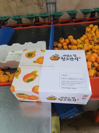 반시님의 자유주제 · 자유게시판 작성글 사진