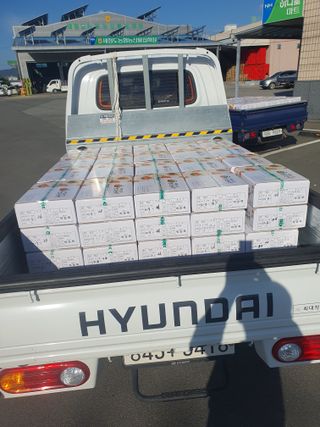 반시님의 자유주제 · 자유게시판 작성글 사진