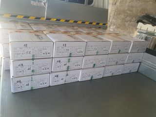 반시님의 자유주제 · 자유게시판 작성글 사진