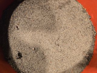 홍성덕님의 들깨 · 영농일지 작성글 사진