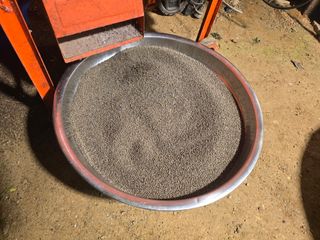 홍성덕님의 들깨 · 영농일지 작성글 사진