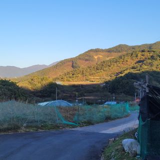 여우내 이순홍님의 자유주제 · 자유게시판 작성글 사진