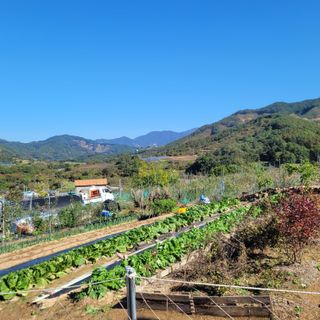 여우내 이순홍님의 자유주제 · 자유게시판 작성글 사진