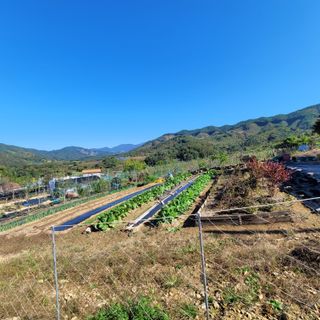 여우내 이순홍님의 자유주제 · 자유게시판 작성글 사진