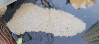 김근우님의 자유주제 · 자유게시판 작성글 사진