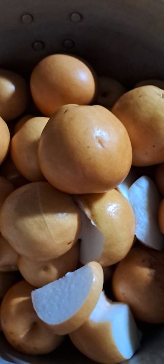 이영미님의 배 · 영농일지 작성글 사진