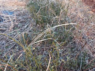 상민님의 작성글 사진