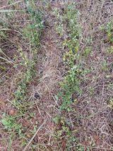 팜모닝 · 게시글 이미지