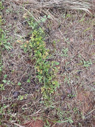 상민님의 작성글 사진