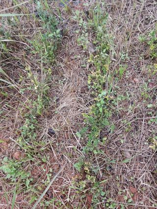 상민님의 작성글 사진