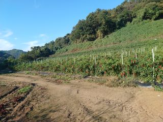 오영도님의 자유주제 · 자유게시판 작성글 사진