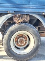 팜모닝 자유주제·사진전 게시글 이미지