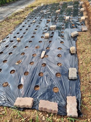 이남신님의 자유주제 · 자유게시판 작성글 사진