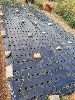 이남신님의 자유주제 · 자유게시판 작성글 사진