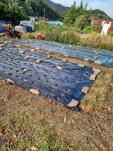 팜모닝 자유주제·자유게시판 게시글 이미지