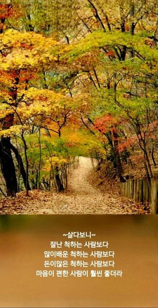 손병만님의 자유주제 · 자유게시판 작성글 사진