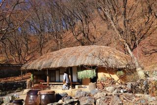 손병만님의 자유주제 · 자유게시판 작성글 사진