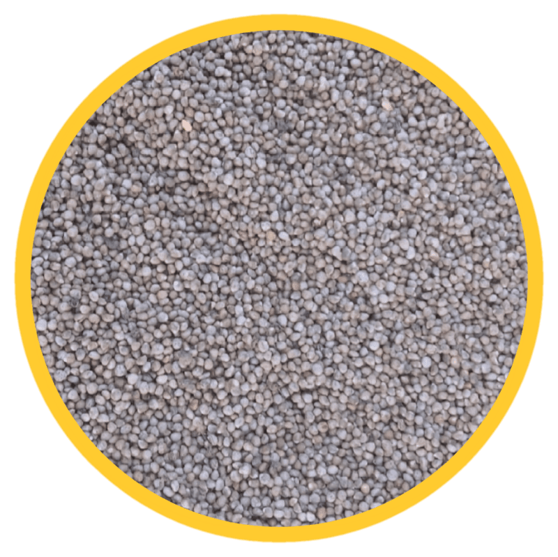 인생은 소풍처럼님의 장터 판매 상품 [들깨1kg 완판] 첨부 사진