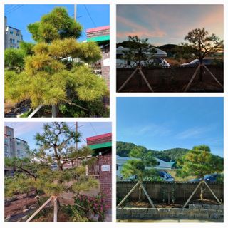 농부하니님의 자유주제 · 자유게시판 작성글 사진