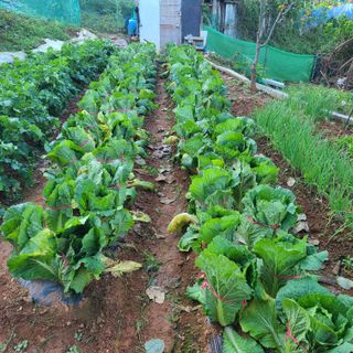 철우(이철우)님의 자유주제 · 자유게시판 작성글 사진