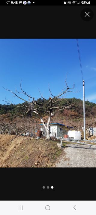 정수산님의 자유주제 · 자유게시판 작성글 사진