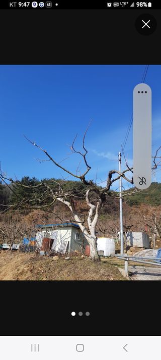 정수산님의 자유주제 · 자유게시판 작성글 사진