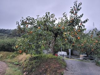 정수산님의 자유주제 · 자유게시판 작성글 사진