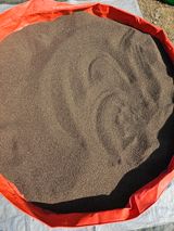 팜모닝 들깨·영농일지 게시글 이미지